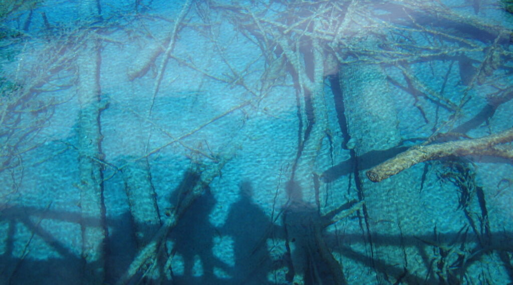 行政書士武田直士事務所